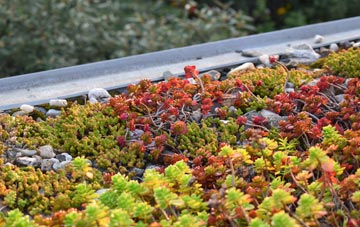 the cost of Hampreston green roof installation