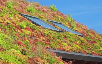 Hampreston living roof systems