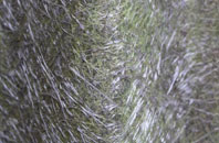 Hampreston fibreglass roof work